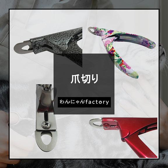 爪切り