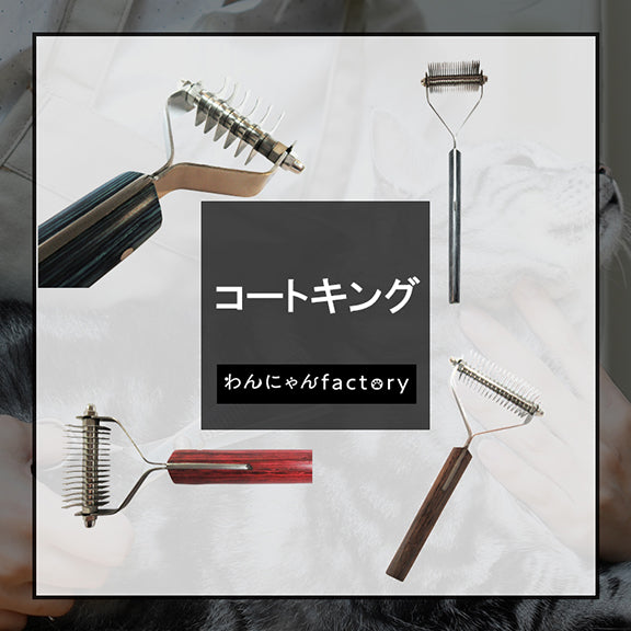 コートキング